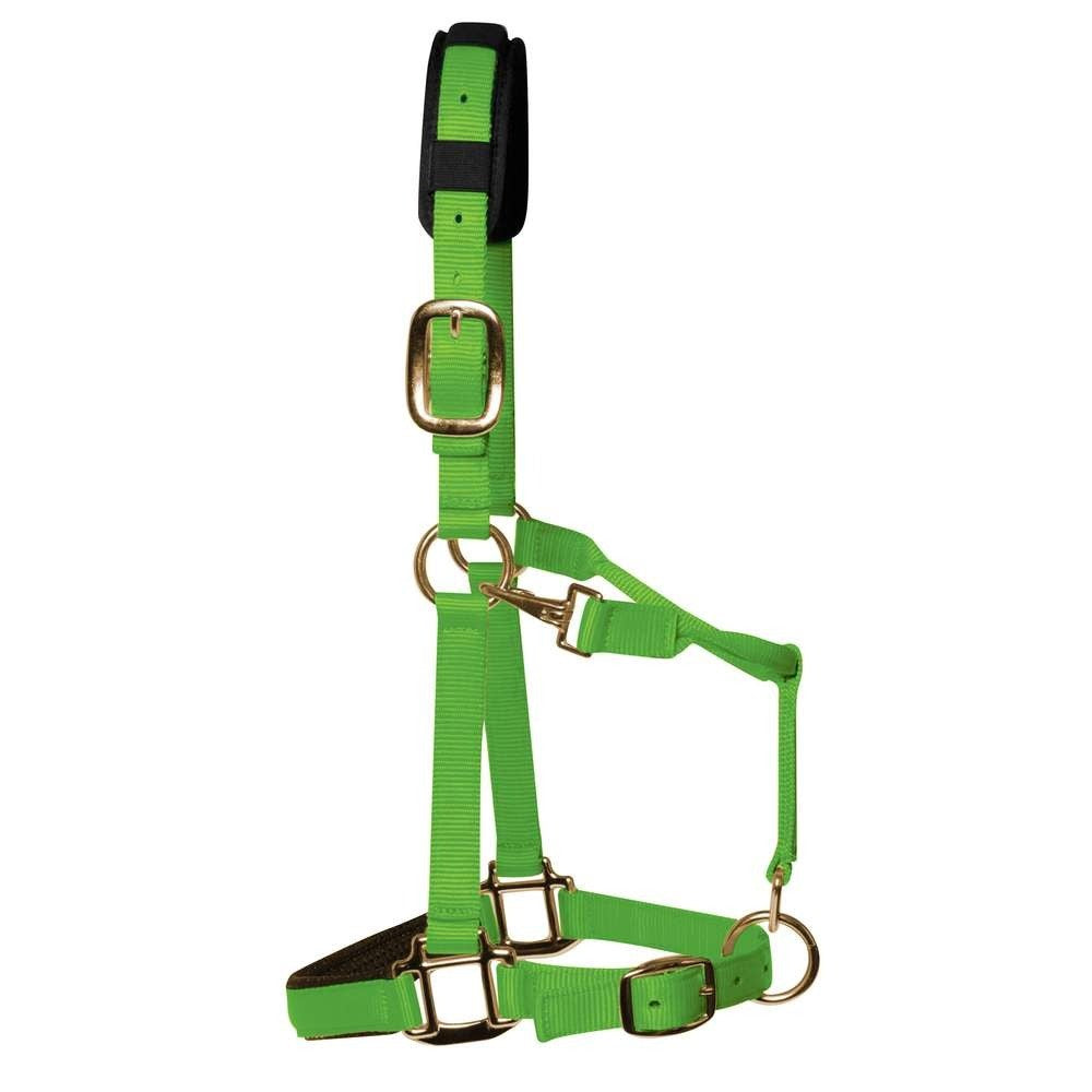 Hot Green Padded Head Collar