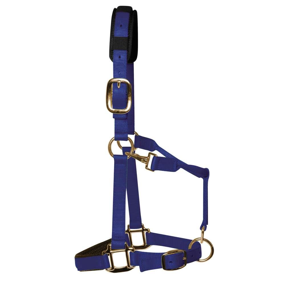 Royal Blue Padded Head Collar