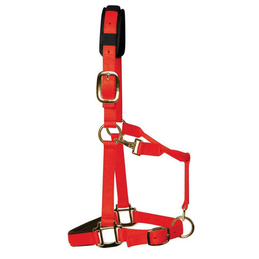 Red Padded Head Collar