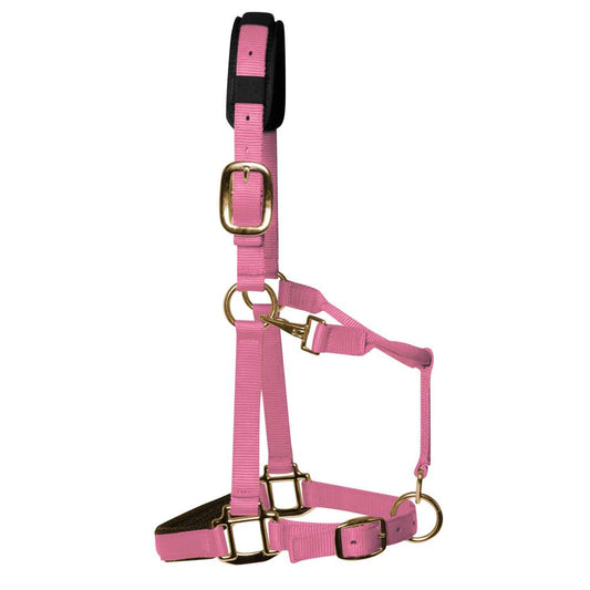 Baby Pink Padded Head Collar