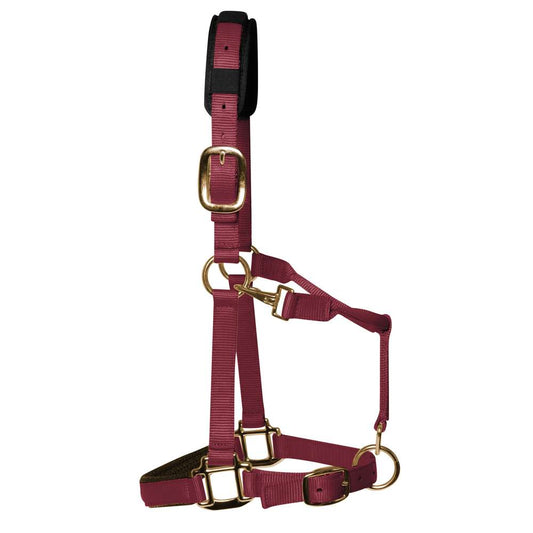 Burgundy Padded Head Collar