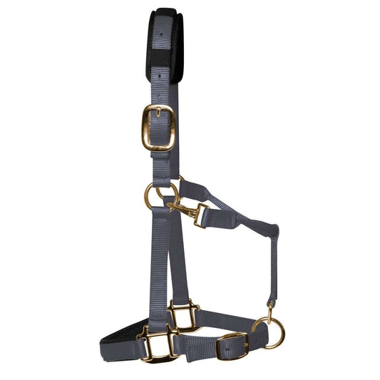 Grey Padded Head Collar