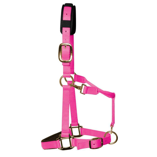 Hot Pink Padded Head Collar