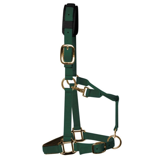 Hunter Green Padded Head Collar