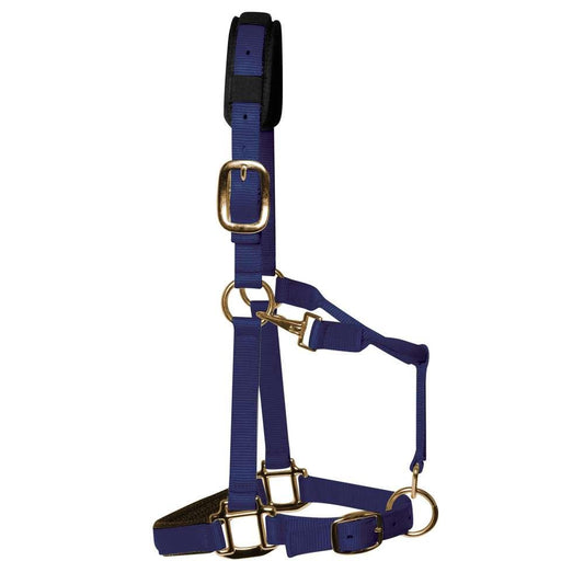 Navy Blue Padded Head Collar