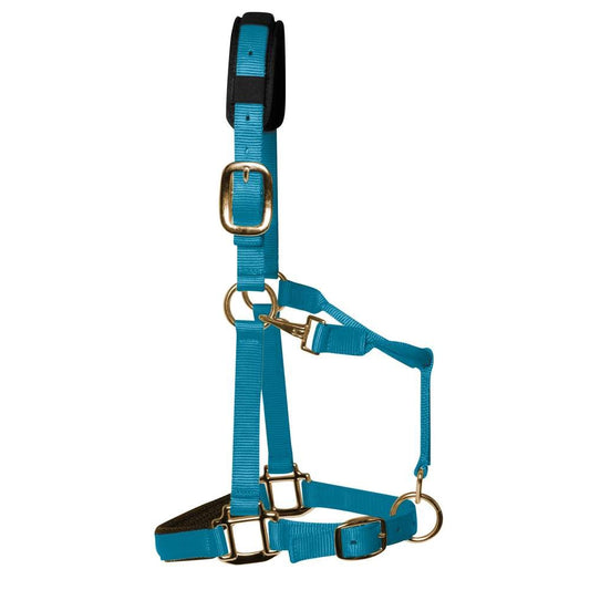 Pastel Blue Padded Head Collar