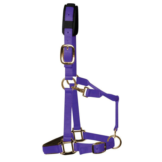 Purple Padded Head Collar
