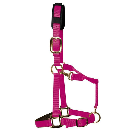 Raspberry Padded Head Collar
