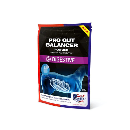 Pro Gut Balancer (10 day loading)