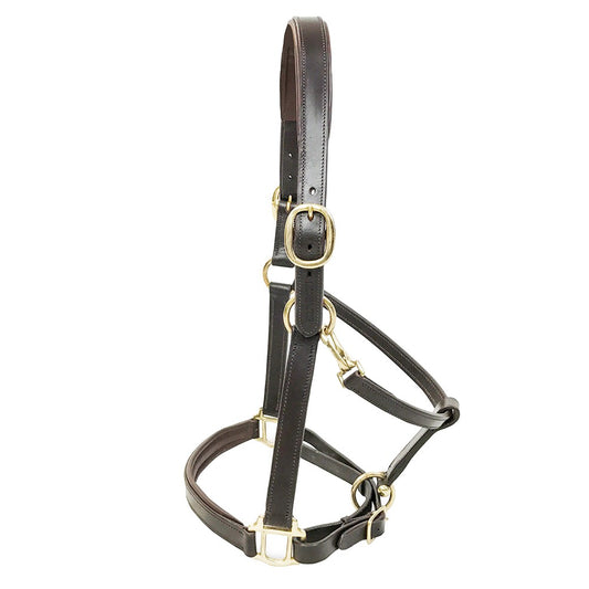 KM Elite Padded Leather Headcollar