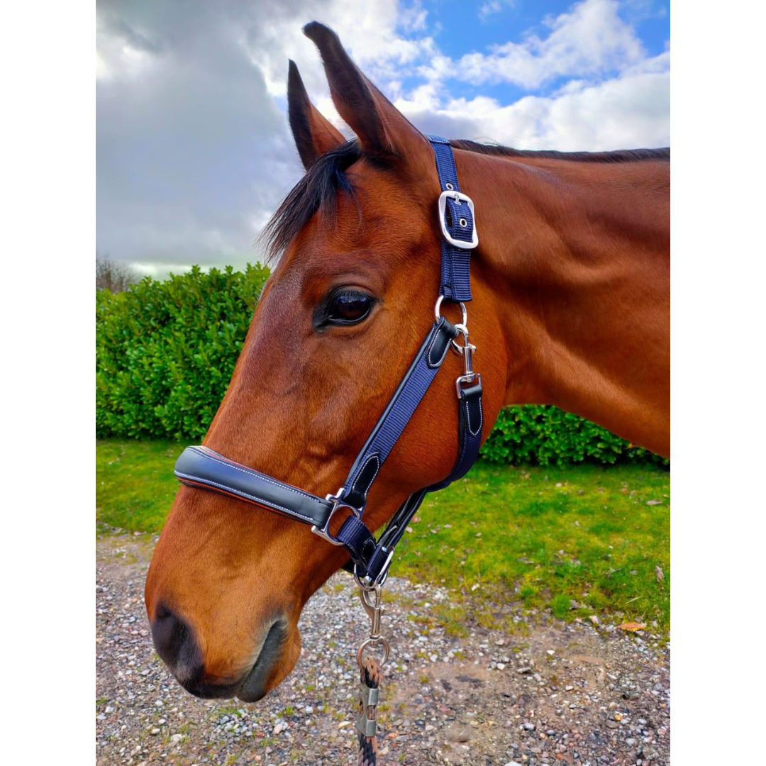 KM Elite Leather Webbing Headcollar